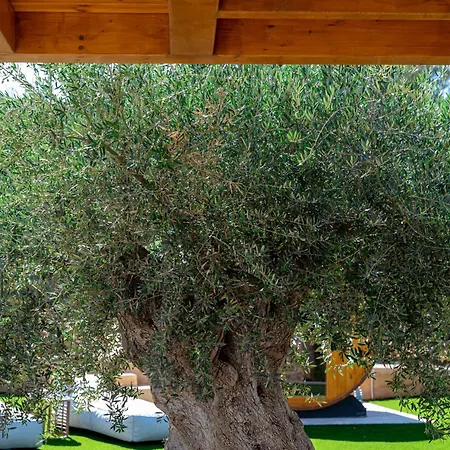 וילה Alhena Pavilion